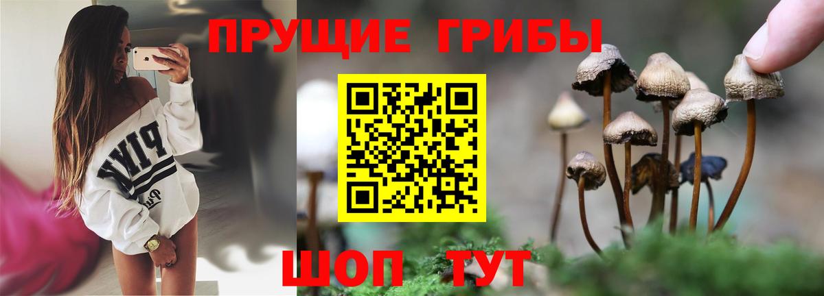 Ртищево  Галлюциногенные грибы ЛСД  Вход с VPN 