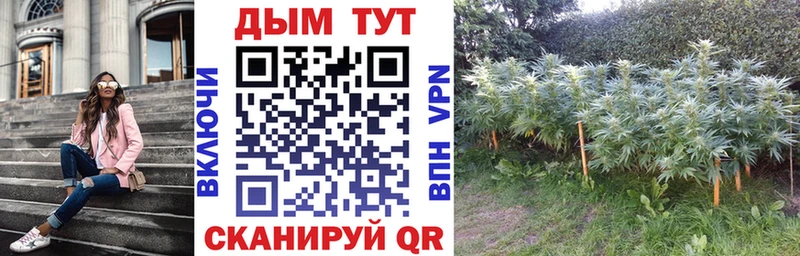 дарнет шоп  Ртищево  мориарти состав  Каннабис Ganja 